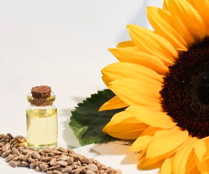 Sunflower oil