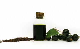 schwarzes johannisbeersamenöl bio 